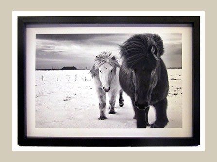 Wild Horses in matt black wooden frame Wild Horses in matt black frame