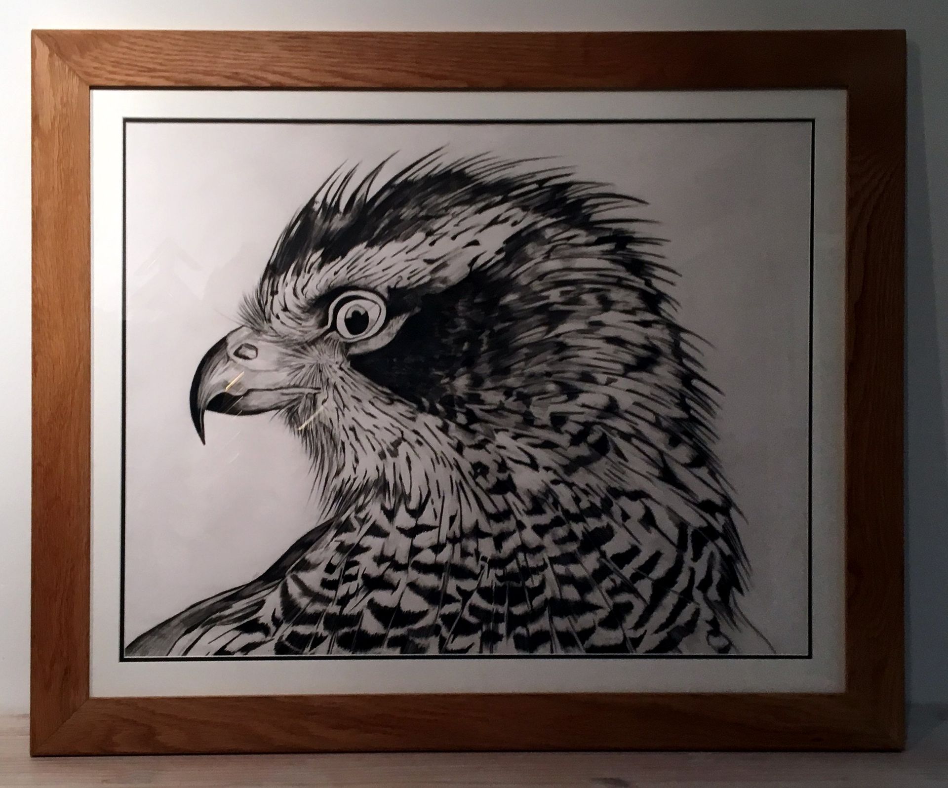 'Bird of Prey' portrait in solid oak frame Animal Art Solid Oak frames