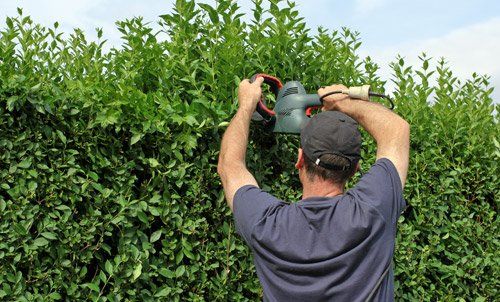 Trimming Service