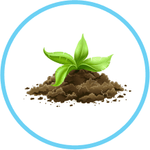 top soil