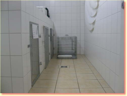 Une pièce avec des carreaux blancs et une cage au milieu