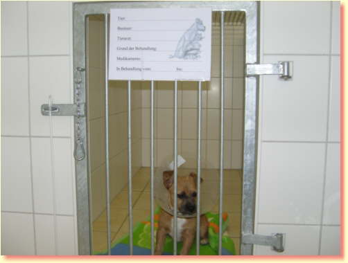 Un petit chien dans une cage avec un panneau sur la porte