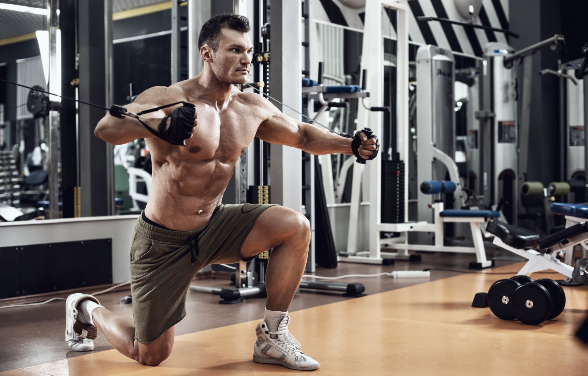 Palestra