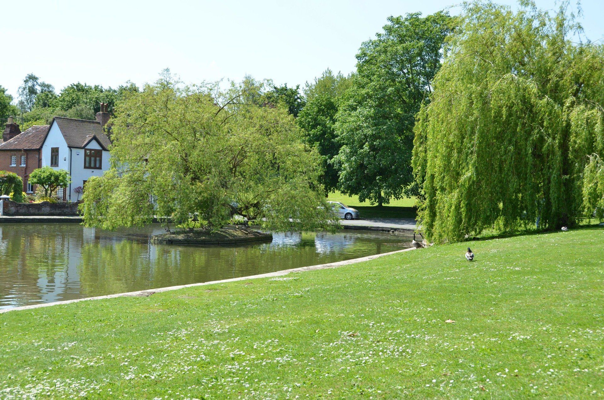 Doctors Pond Dunmow