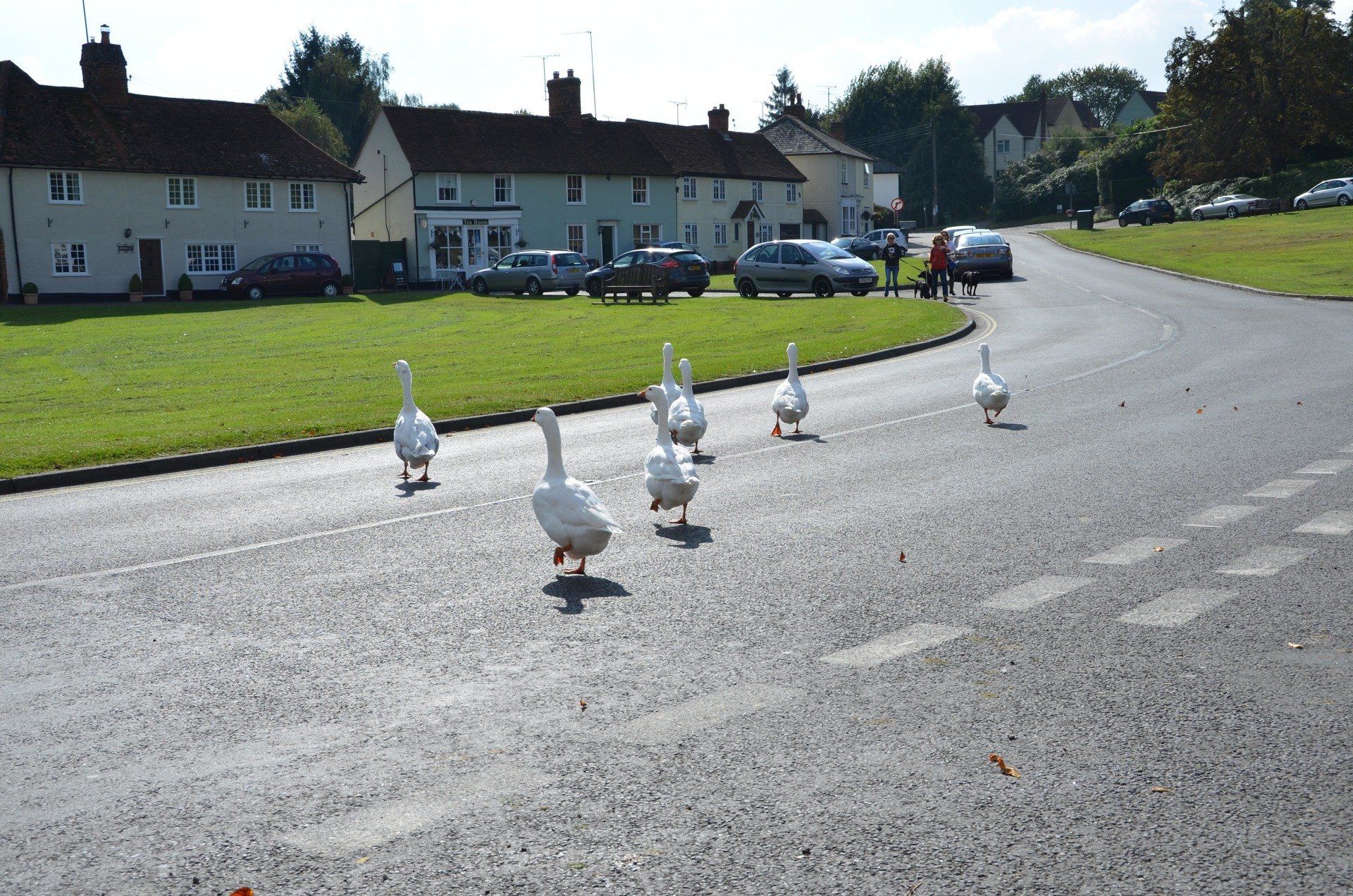 Finchingfield Essex