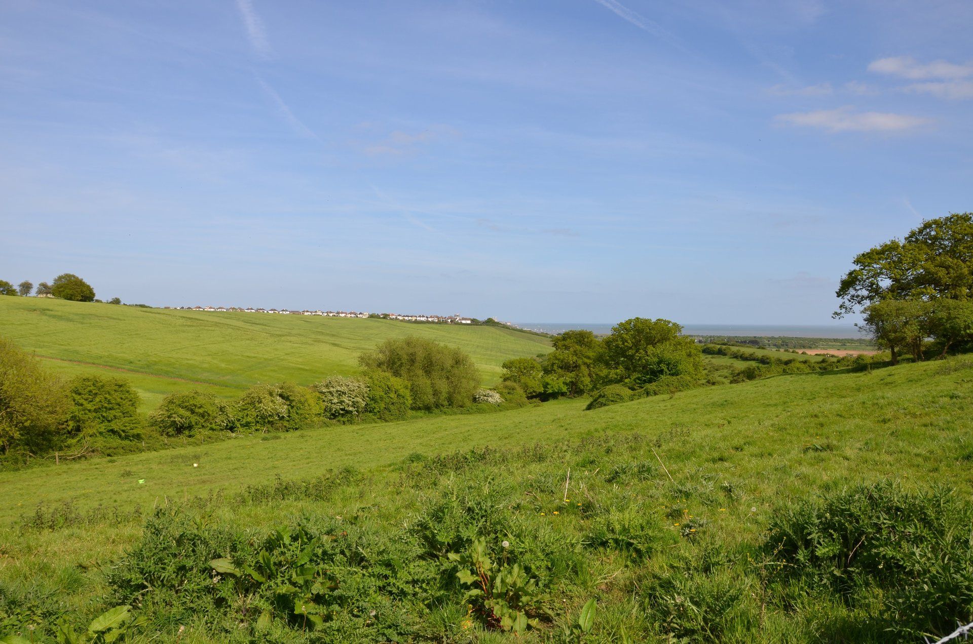 Hadleigh Essex