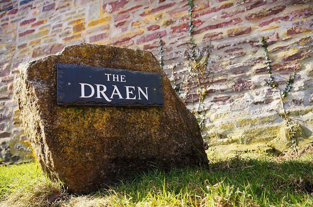 The draen