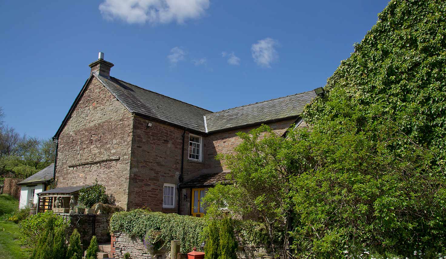the draen bed and breakfast