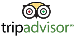 trip advisor excellence award