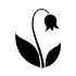 bluebell room icon