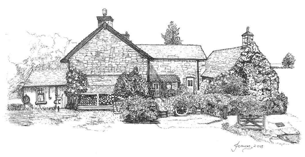 The Draen - Line Drawing