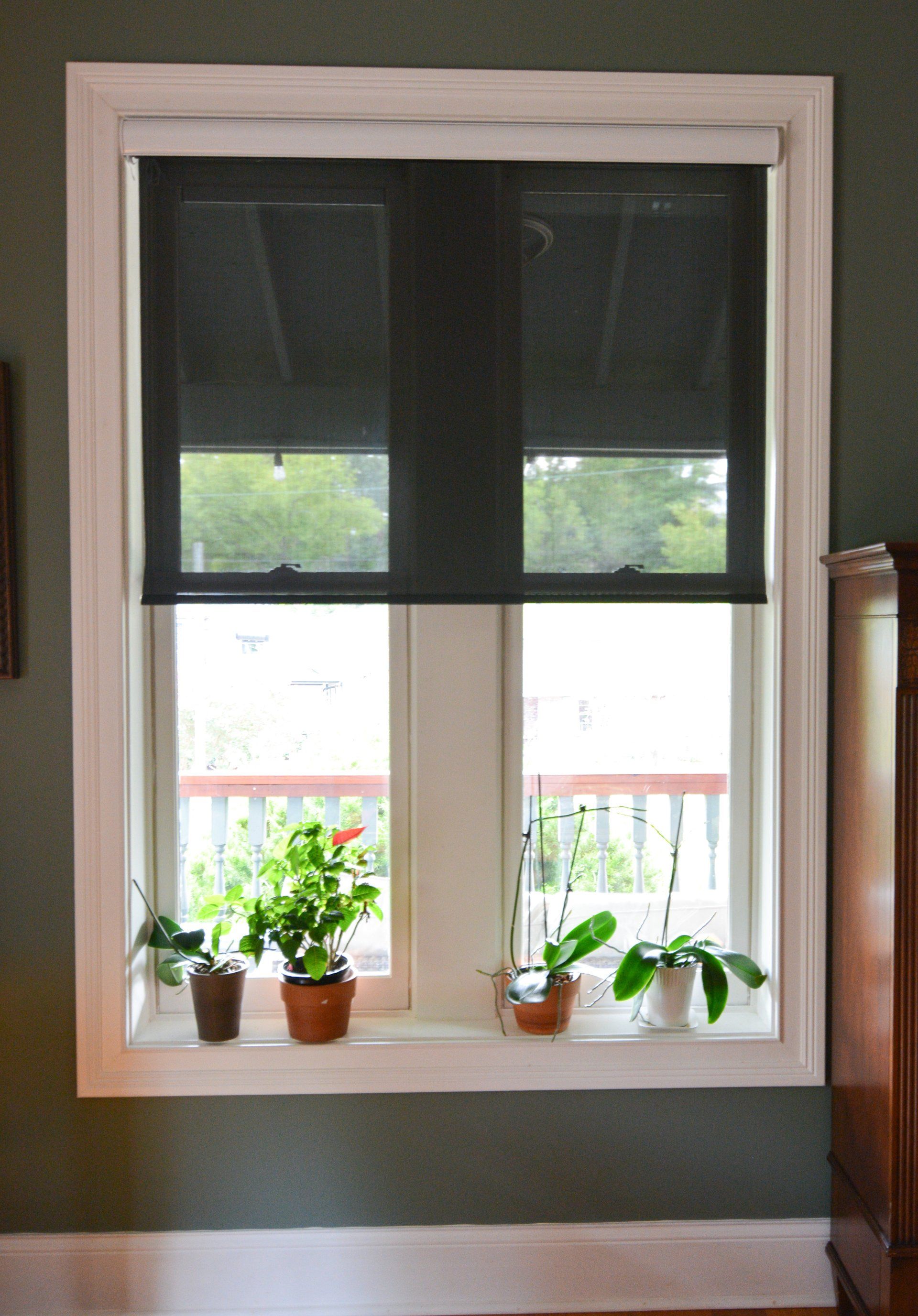 A window with black blinds and potted plants on the sill