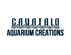 Aquariums