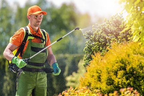 Garden Plants Insecticide — Lake Mohegan, NY — CMA Pest Control Inc.