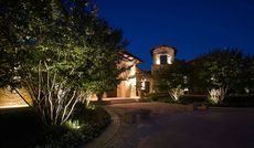 image-1358734-fronttree.jpg