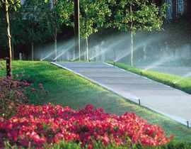 image-1413346-Sprays.w640.jpg