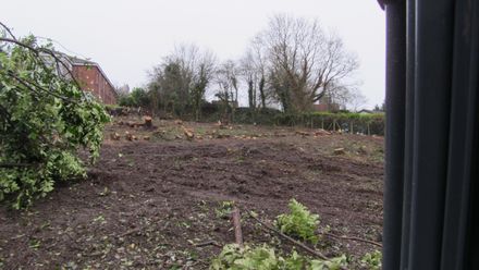 Site Clearance