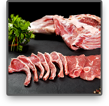 Lamb