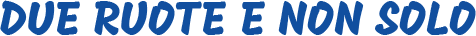 DUE RUOTE E NON SOLO-LOGO