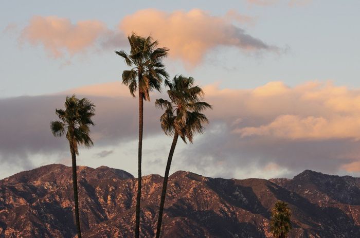 Palm Springs