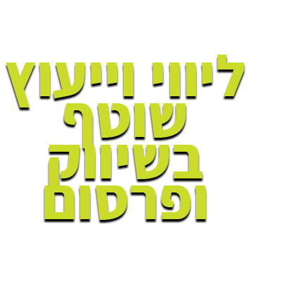 ליווי שיווק לעסקים חברות וארגונים