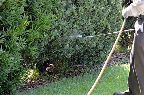 Spraying for the Zika virus - Exterminator in Ithaca, NY