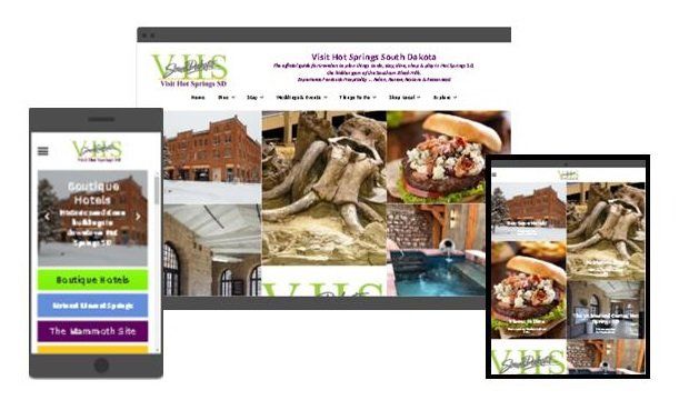 Image of VHS SD website