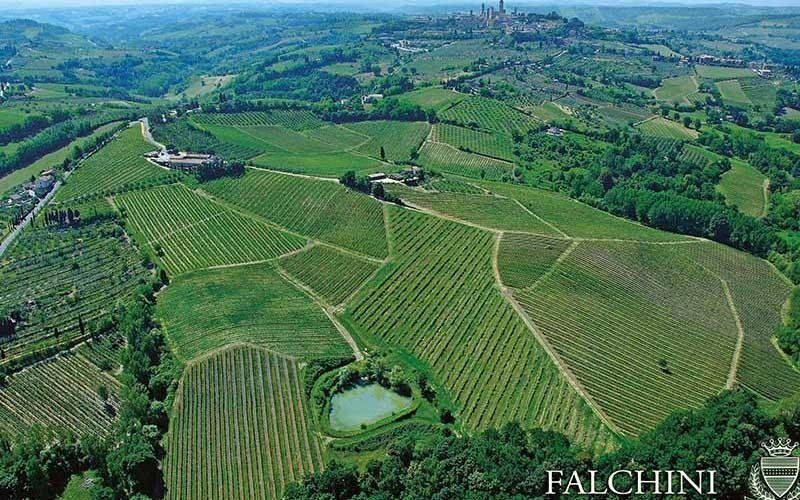 Sienese countryside