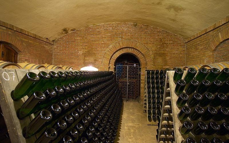Cellar with bottles of wine