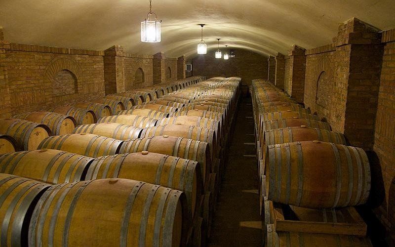 Cellar with wine barrels