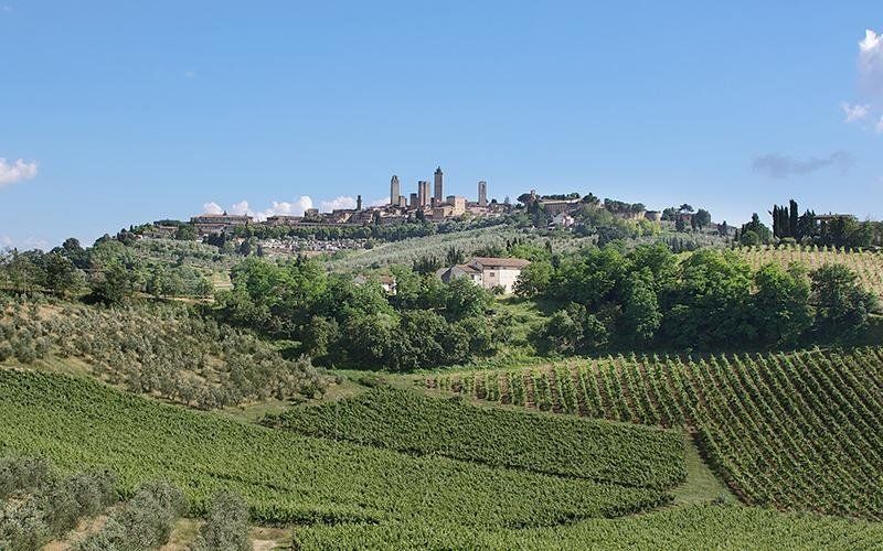 Tuscan hills