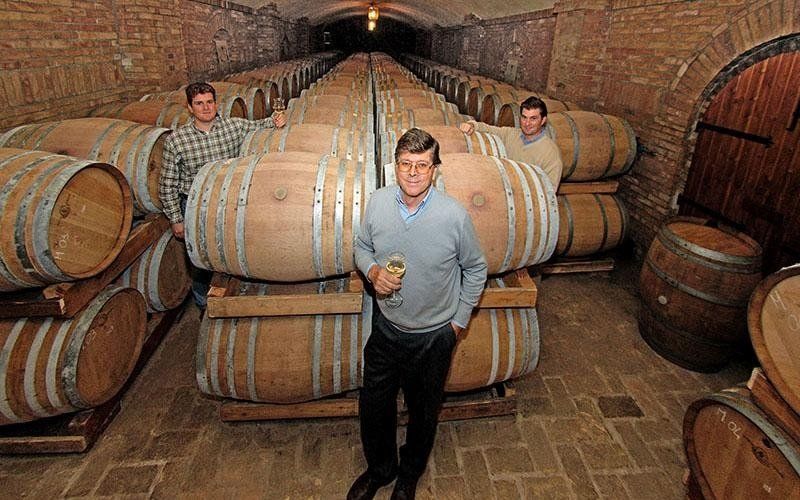 Cellar with wine barrels