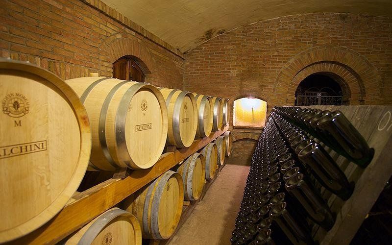 Cellar with wine barrels