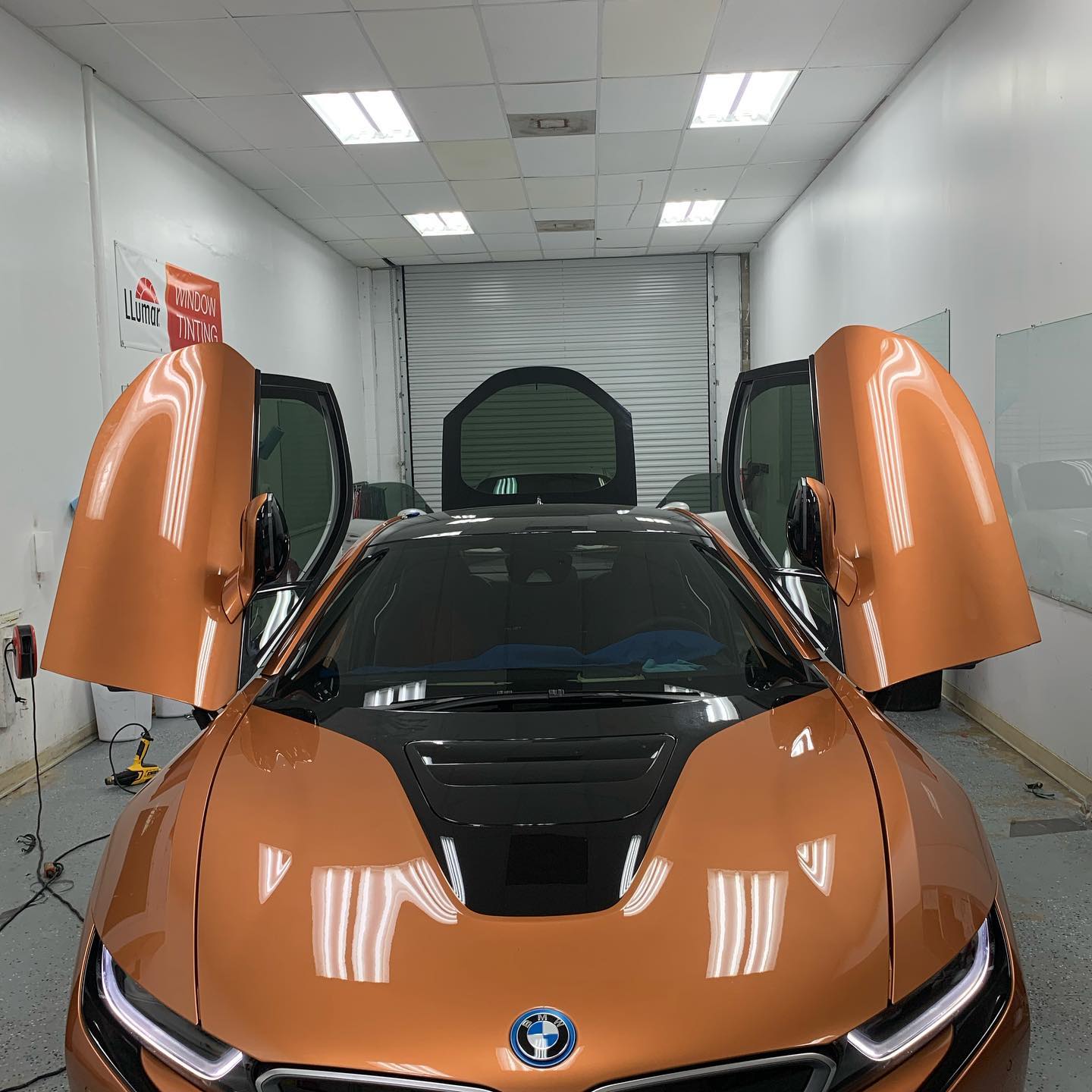 auto window tint tampa