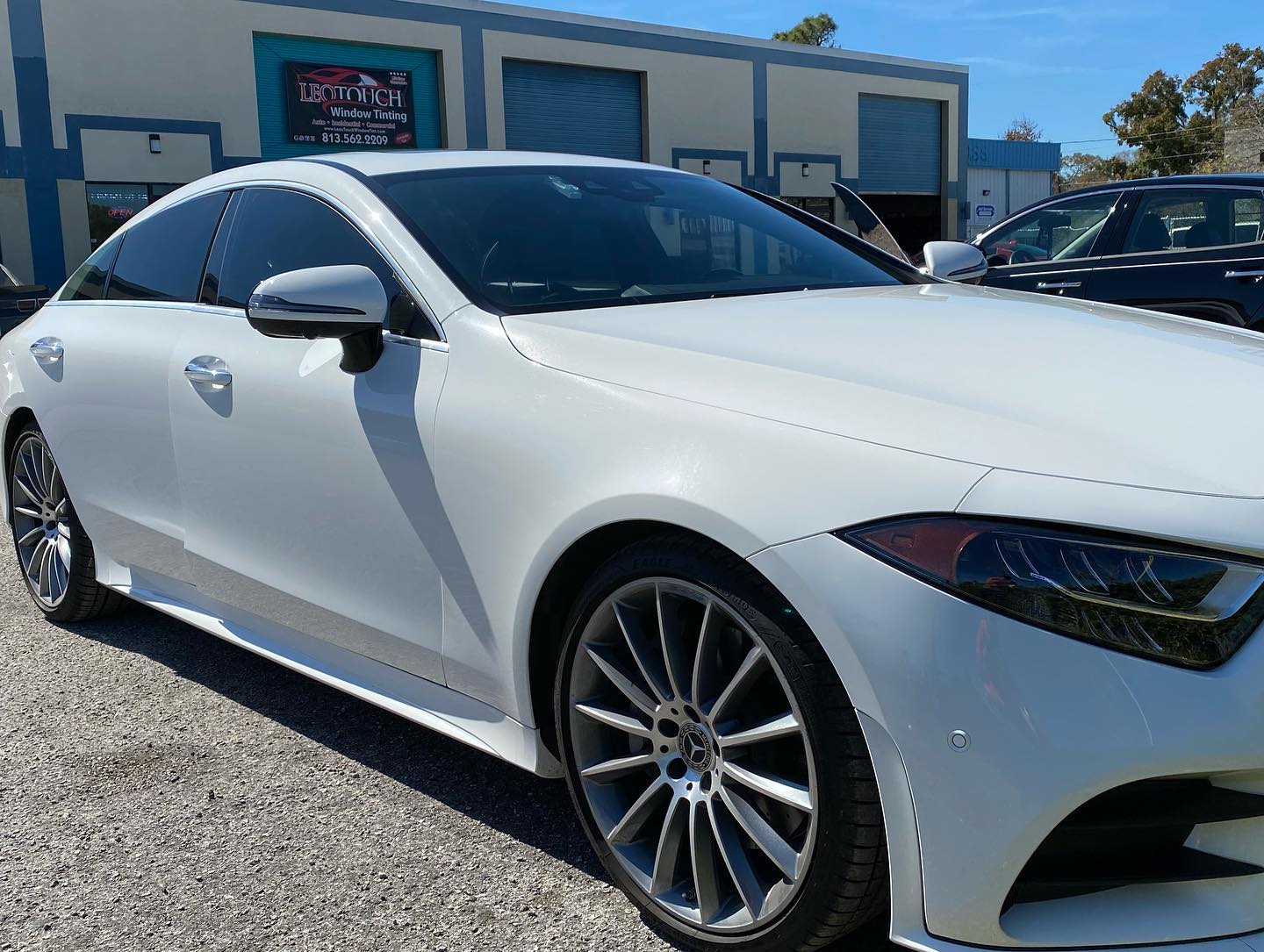 window tinting Tampa FL
