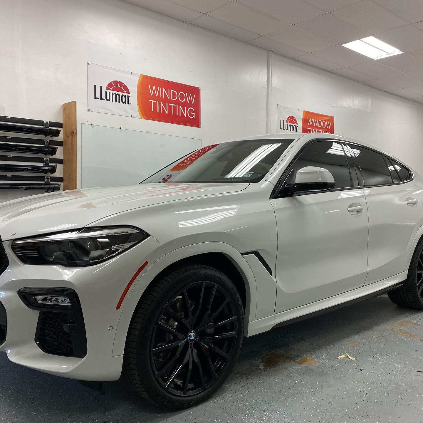 window tint installers tampa