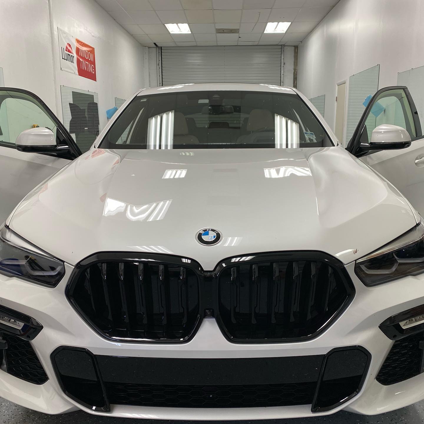 windshield window tint