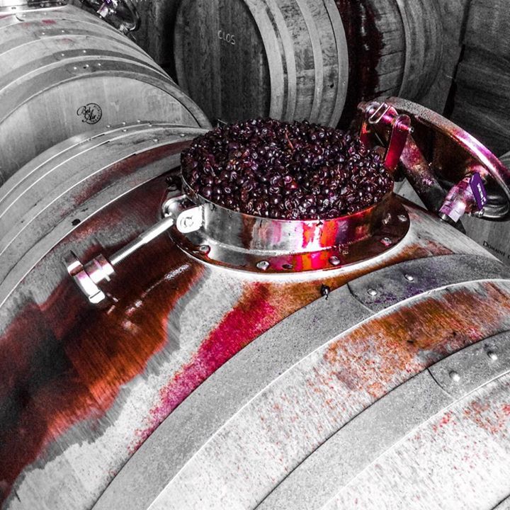 Wine touring