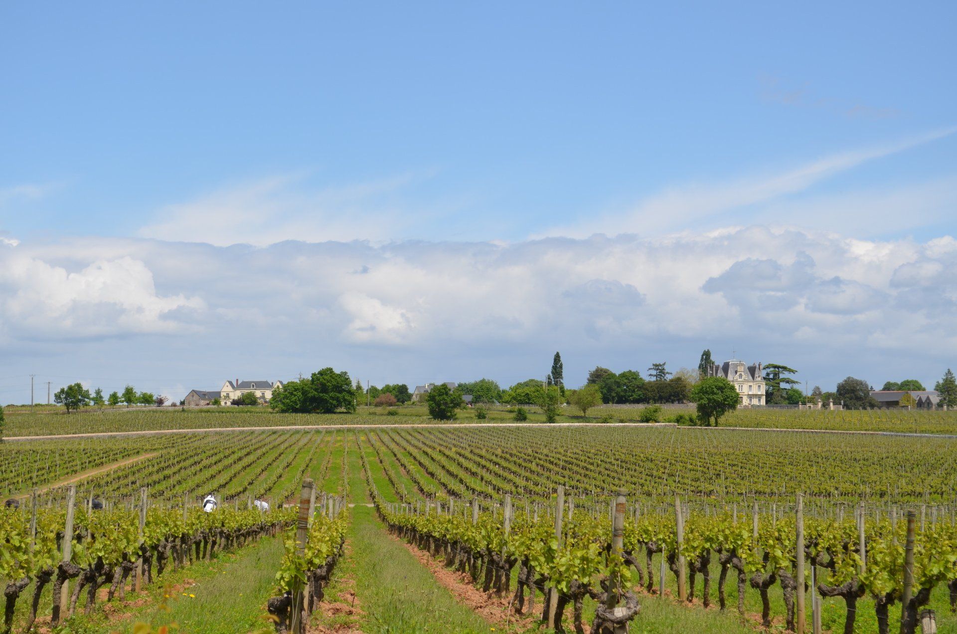 What to do in the Loire Valley from Saumur