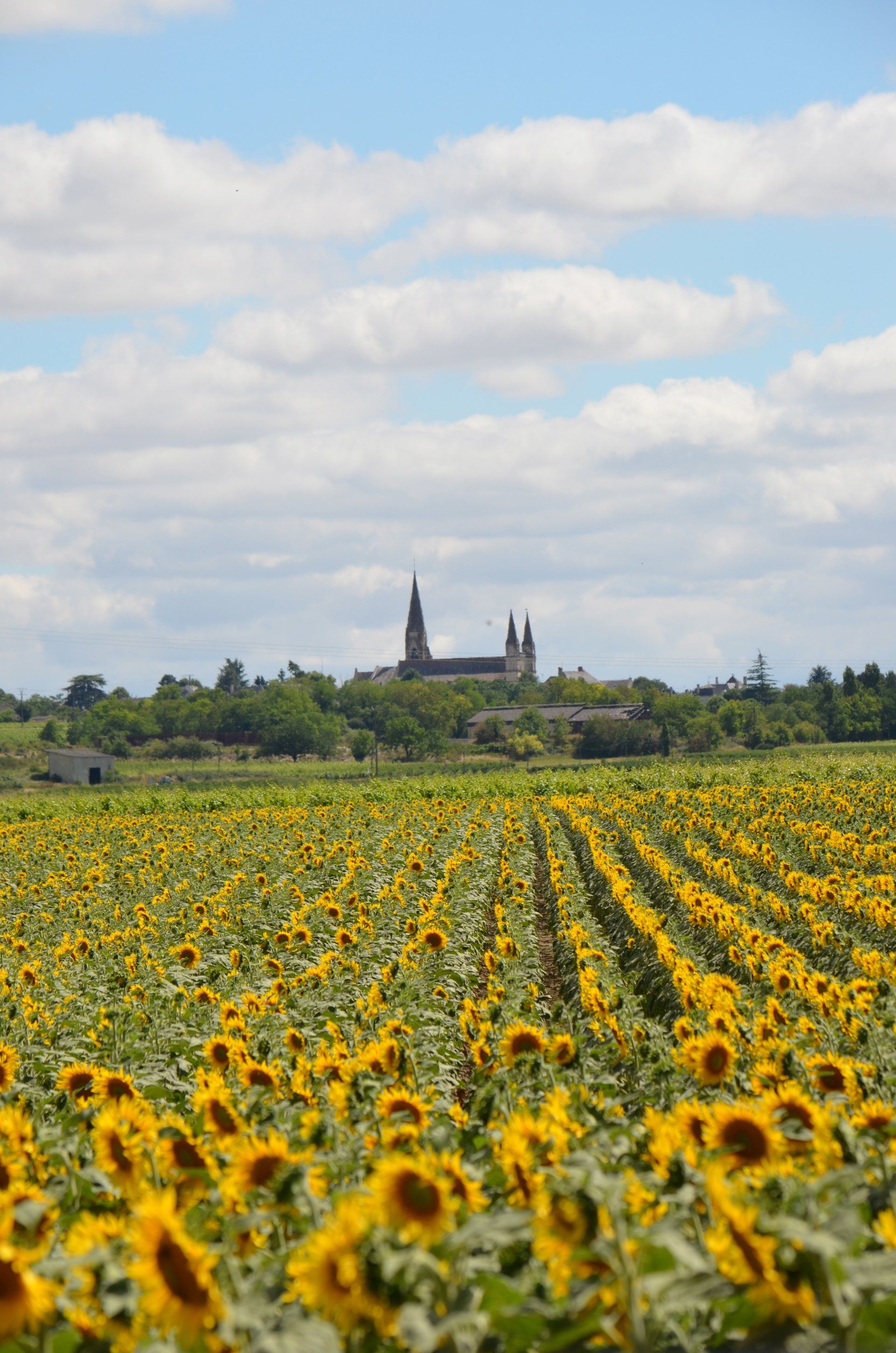 What to do in the Loire Valley