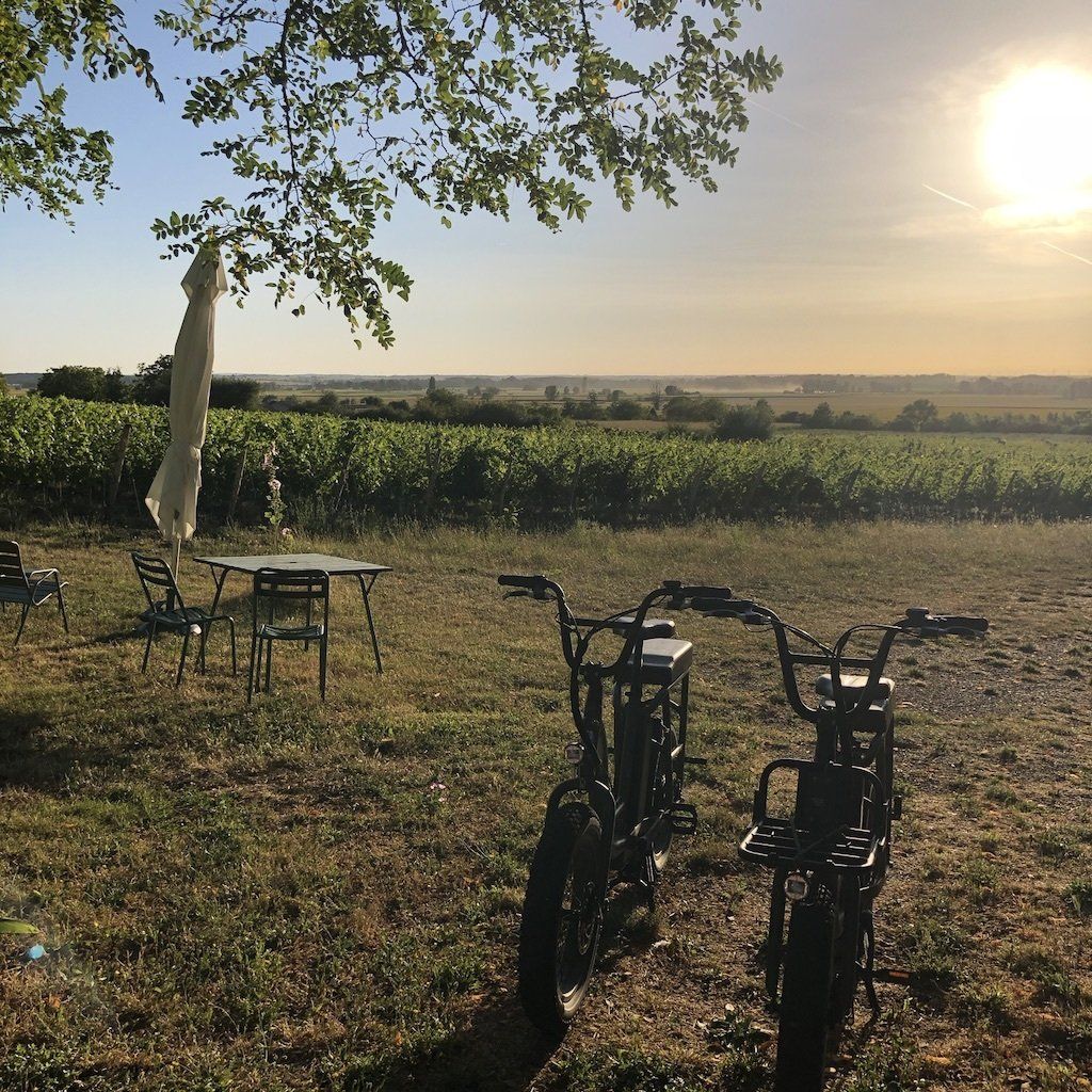 Ebike Wine Tour