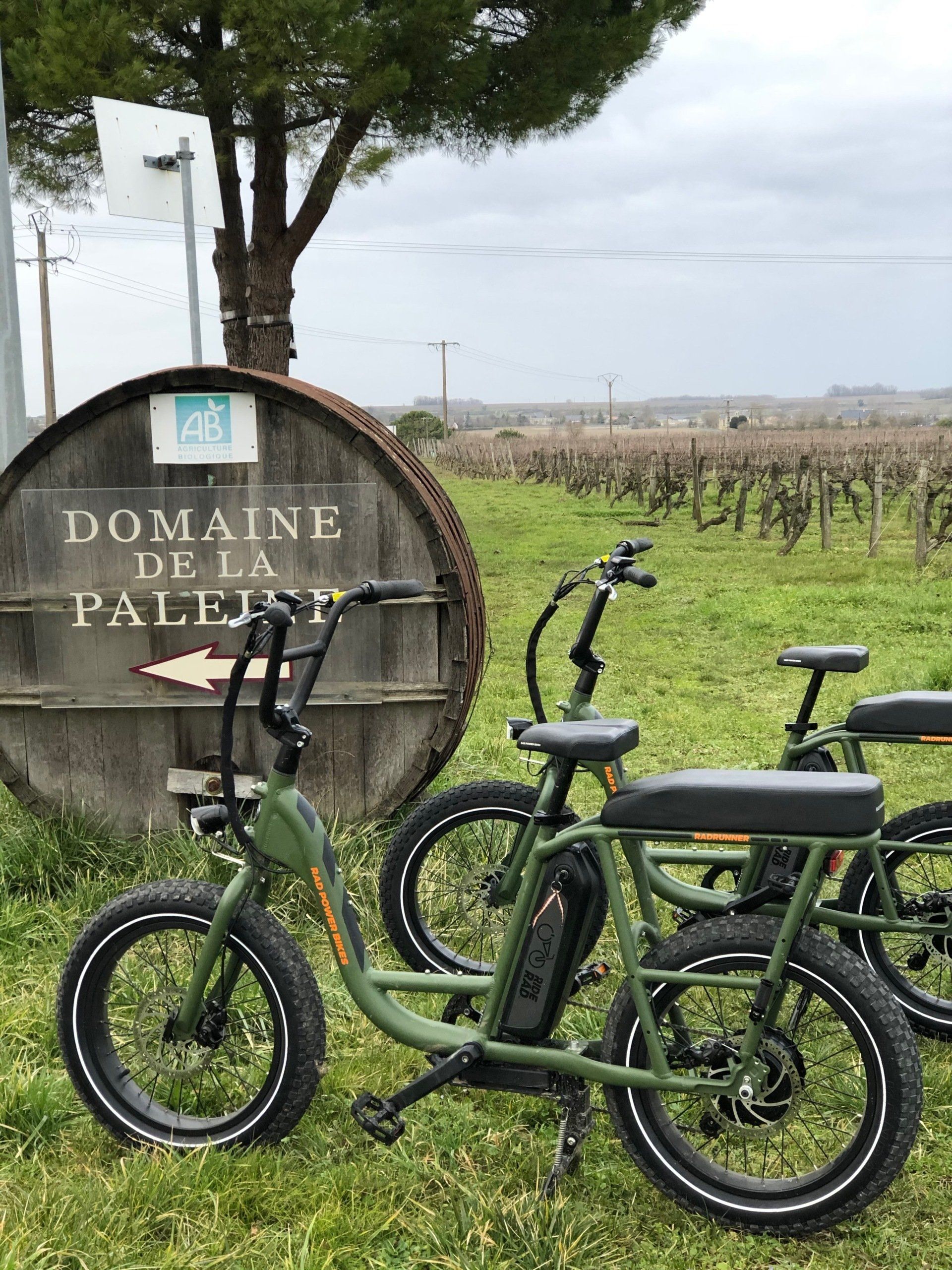 Cycling wine tours