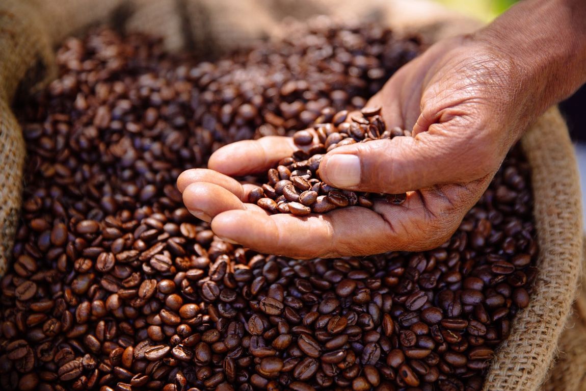 caffè tostato per distributori automatici