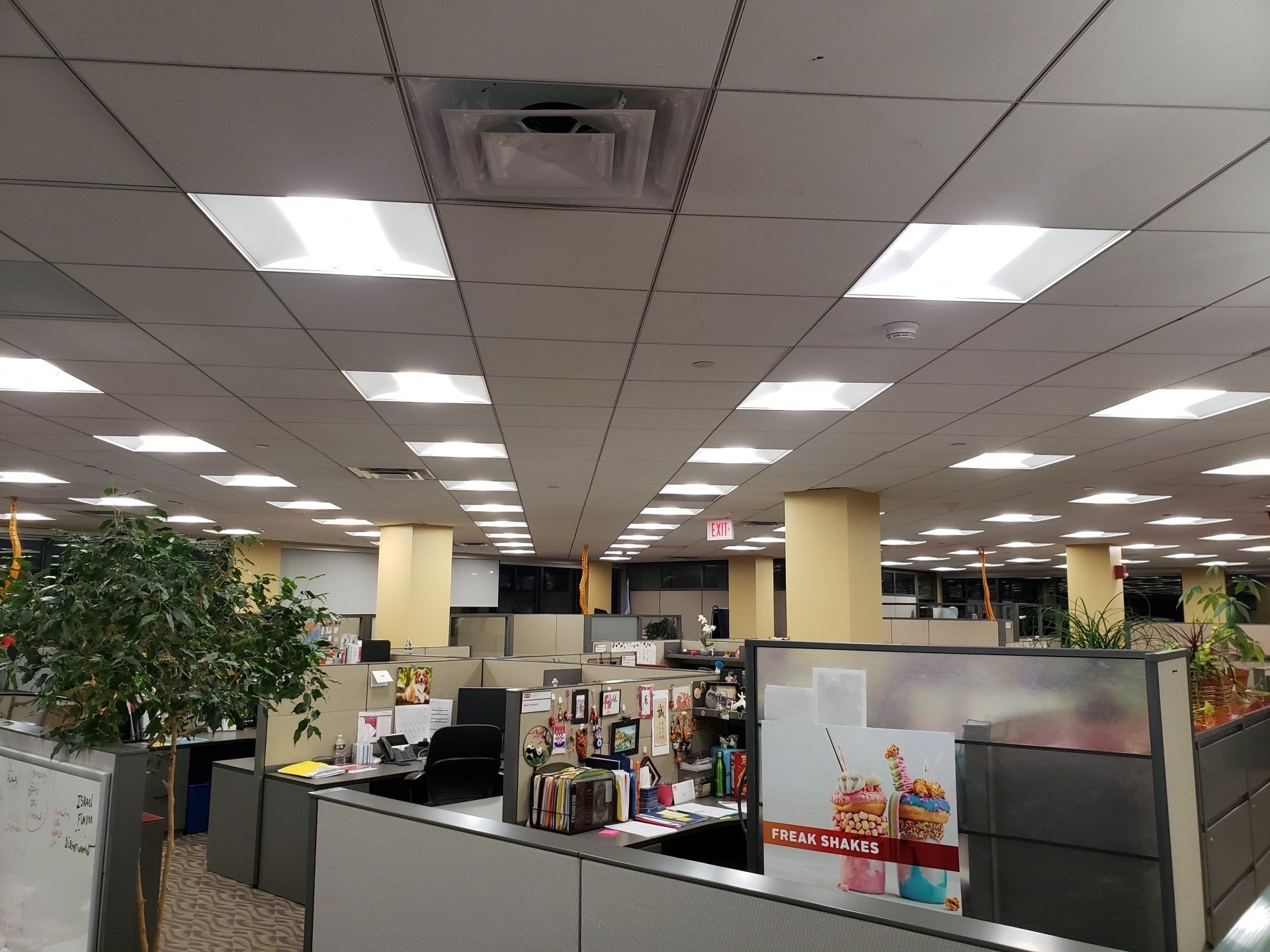 Office interior with cubicles, overhead fluorescent lights, and plants.