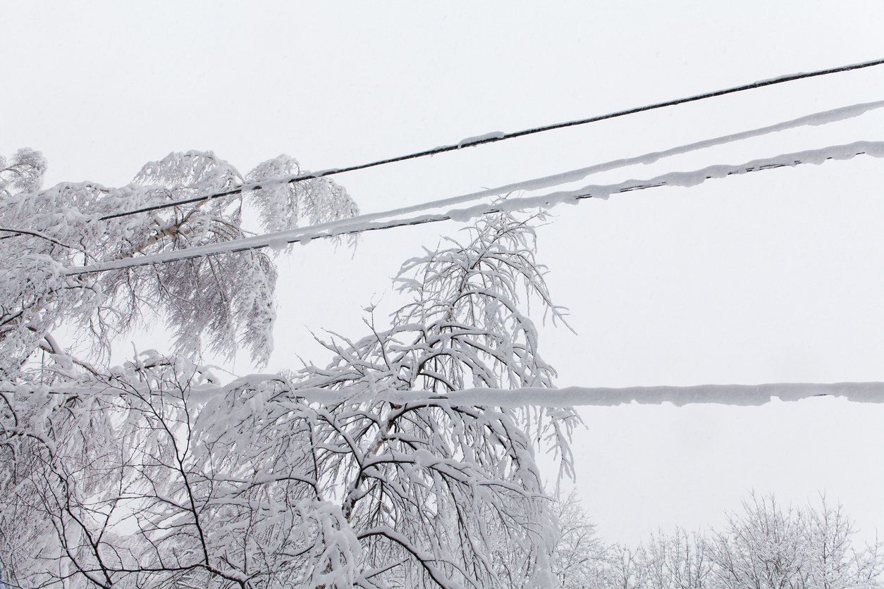 Snow-covered tree branches and power lines against a gray sky.
