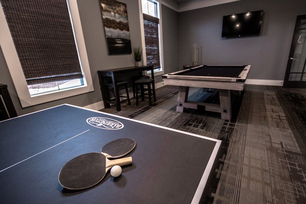 1 element apartments game room