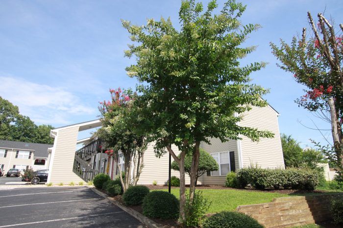 Timber East Apartments Photo