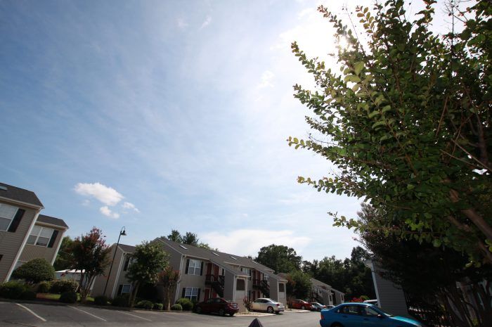 Timber East Apartments Photo