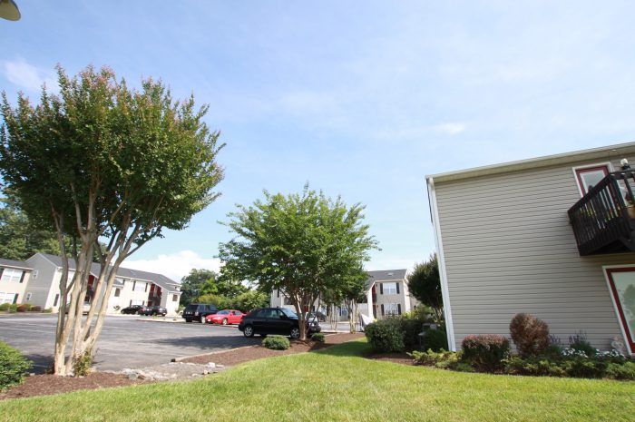 Timber East Apartments Photo
