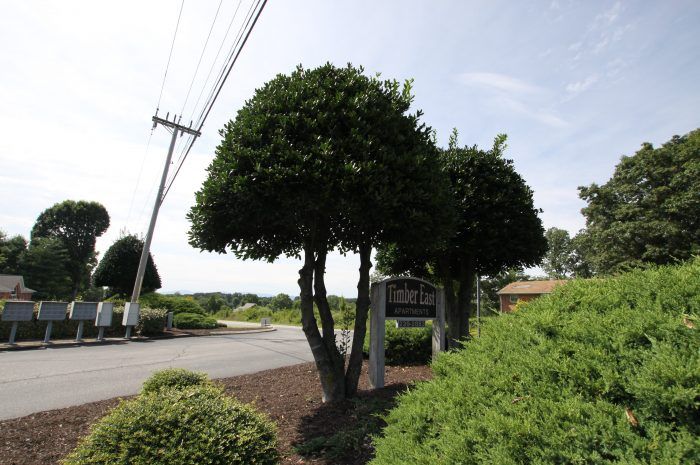 Timber East Apartments Photo